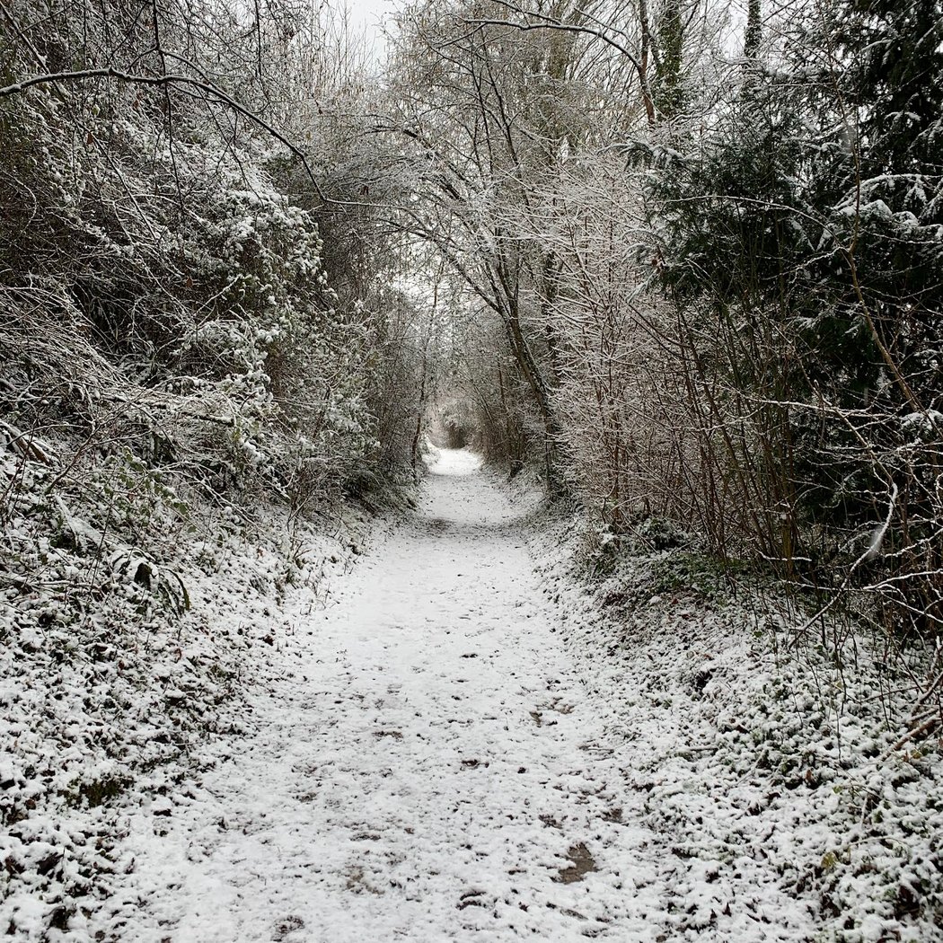 La sente aux moines 1