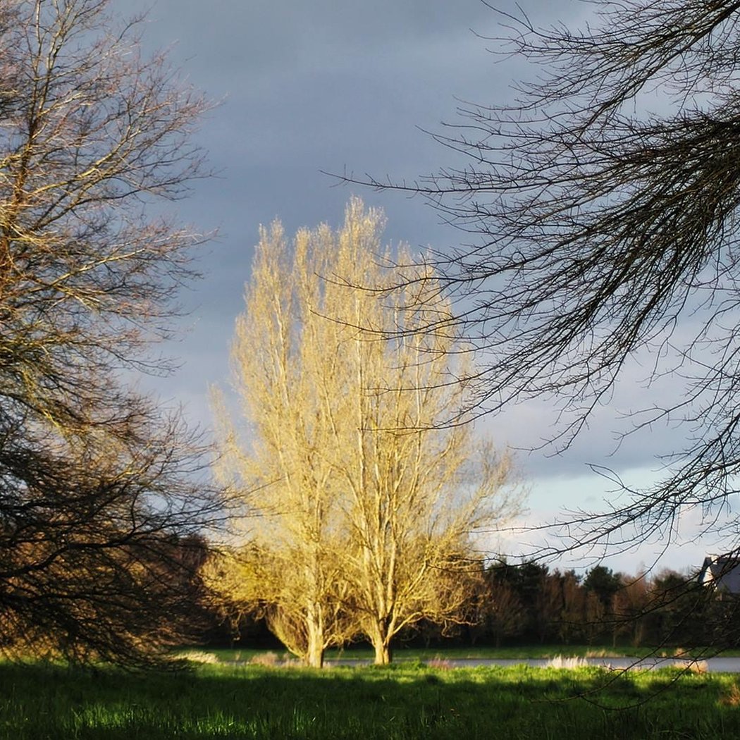 Étang de Beaumont 2