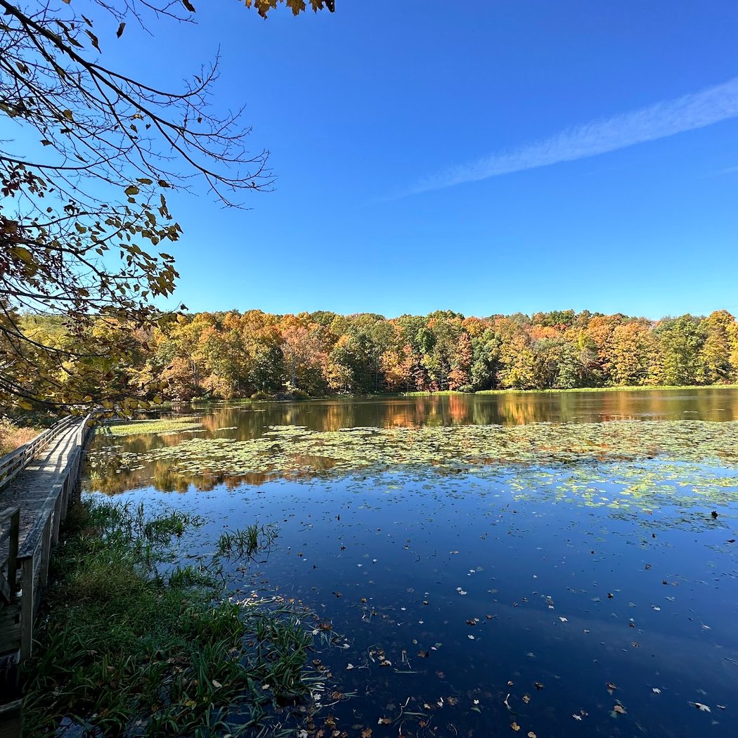 Teatown Lake Reservation 1