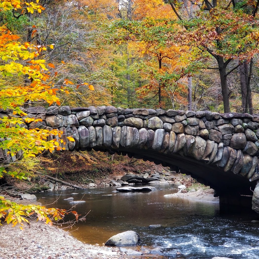 Rock Creek Park 3