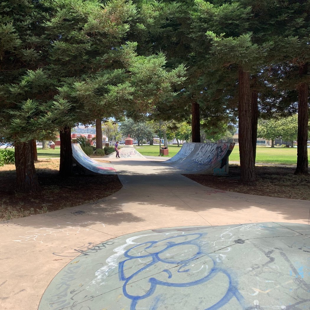 Nicholl Park 3