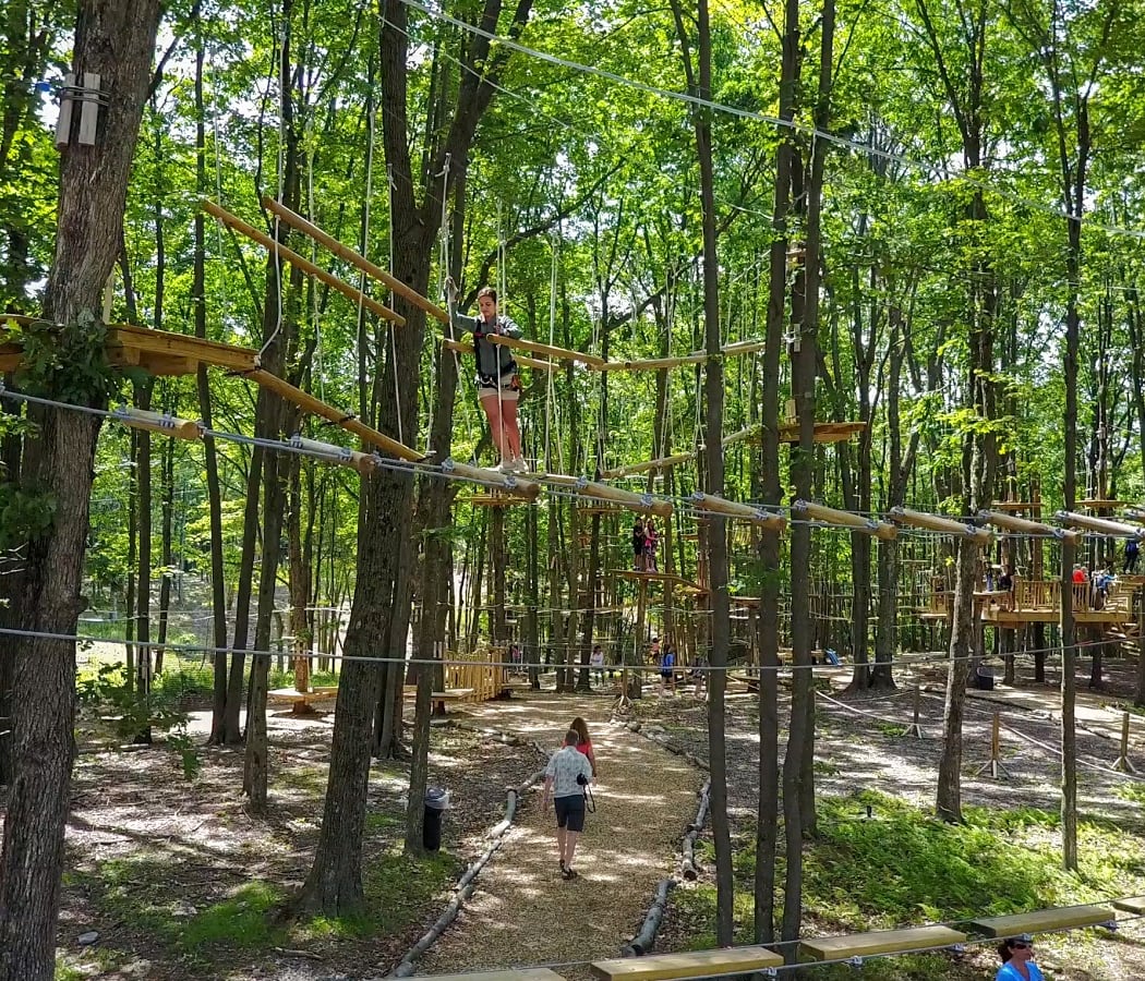 Gorilla Grove Treetop Adventures 2