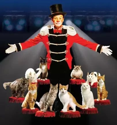 Popovich Comedy Pet Theater 1