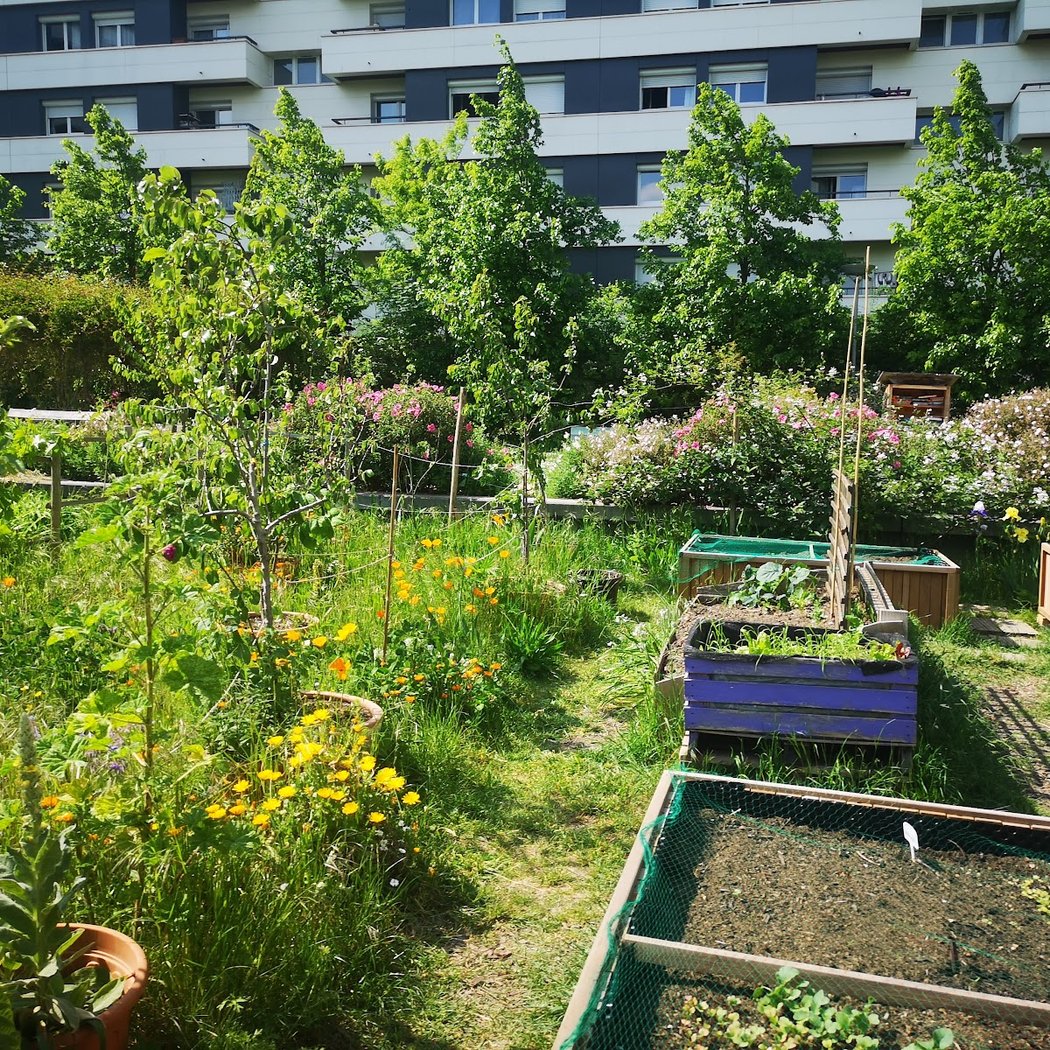 Jardin du Ver Têtu 2