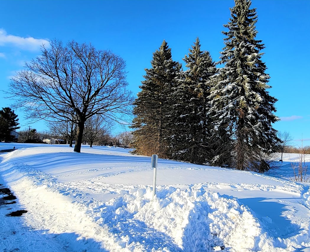 Buhr Park Outdoor Ice Arena 3