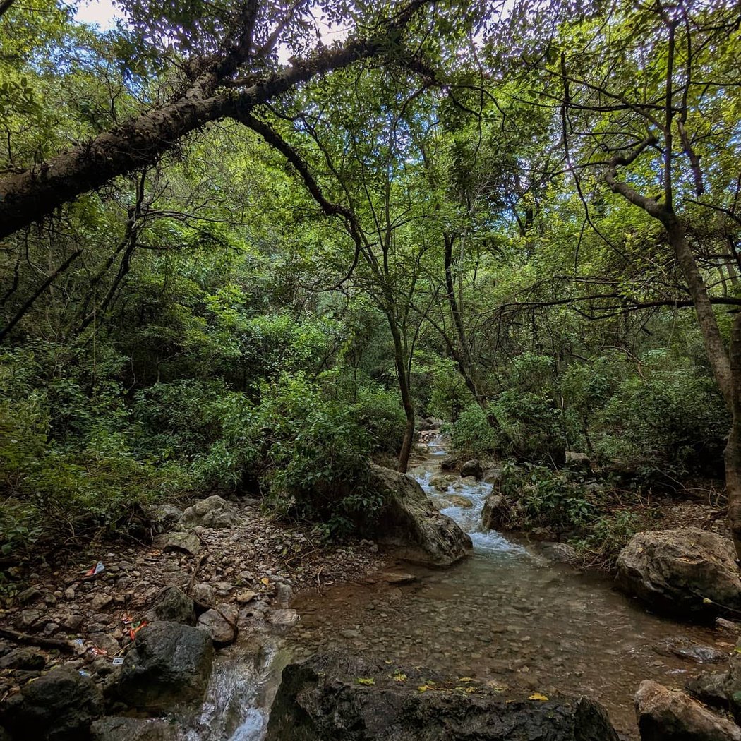 IRU Thursday Trail4 Run/Hike 3