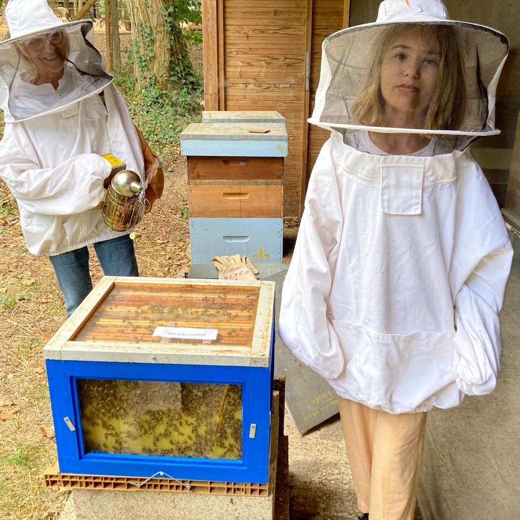 GROUPEMENT D'APICULTURE de BRÉVIANDE INTERCOMMUNAL 1