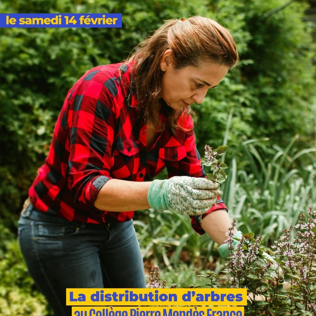 distribution d’arbres 1