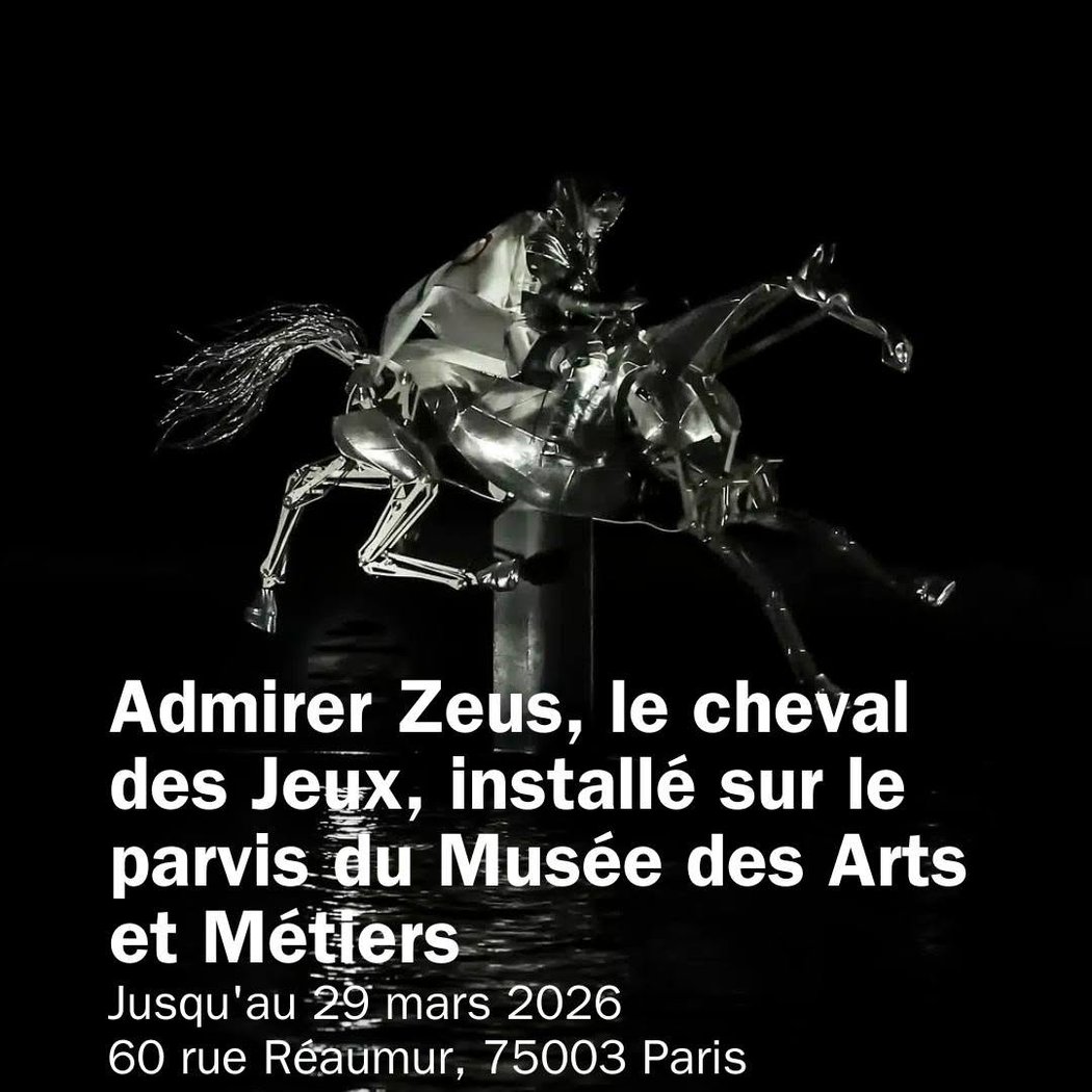 Zeus, le cheval des Jeux 1