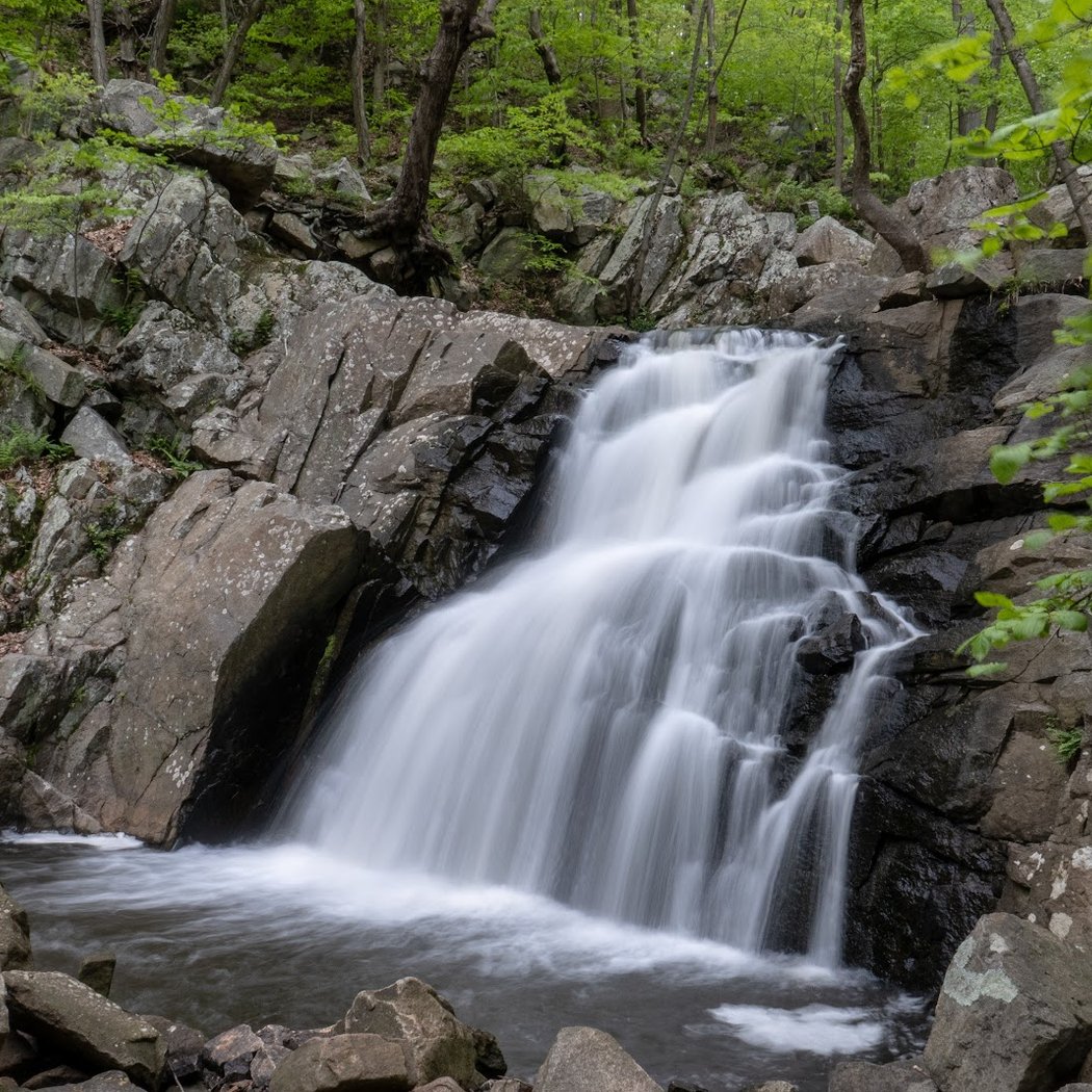 Schooley's Mountain Park 1