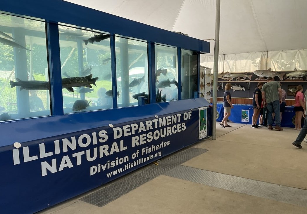 Illinois State Fair (Opening Weekend) 4