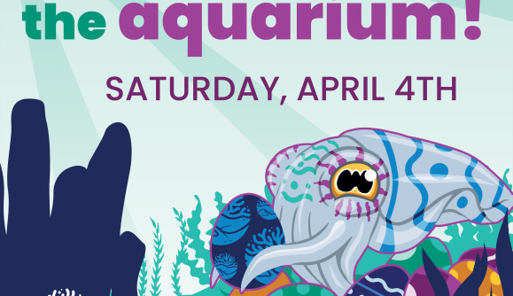 SEAster at the Aquarium 1