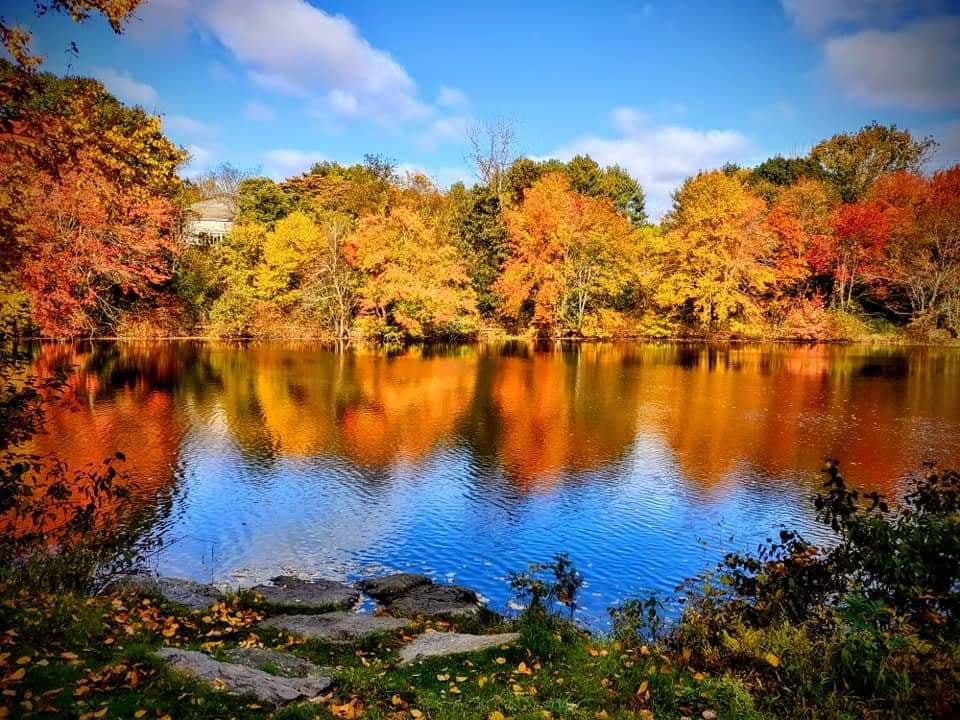 Ansonia Nature & Recreation Center 1