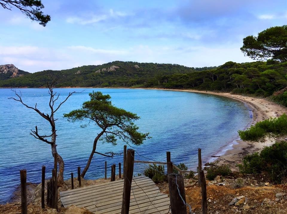 Plage de la Courtade 1