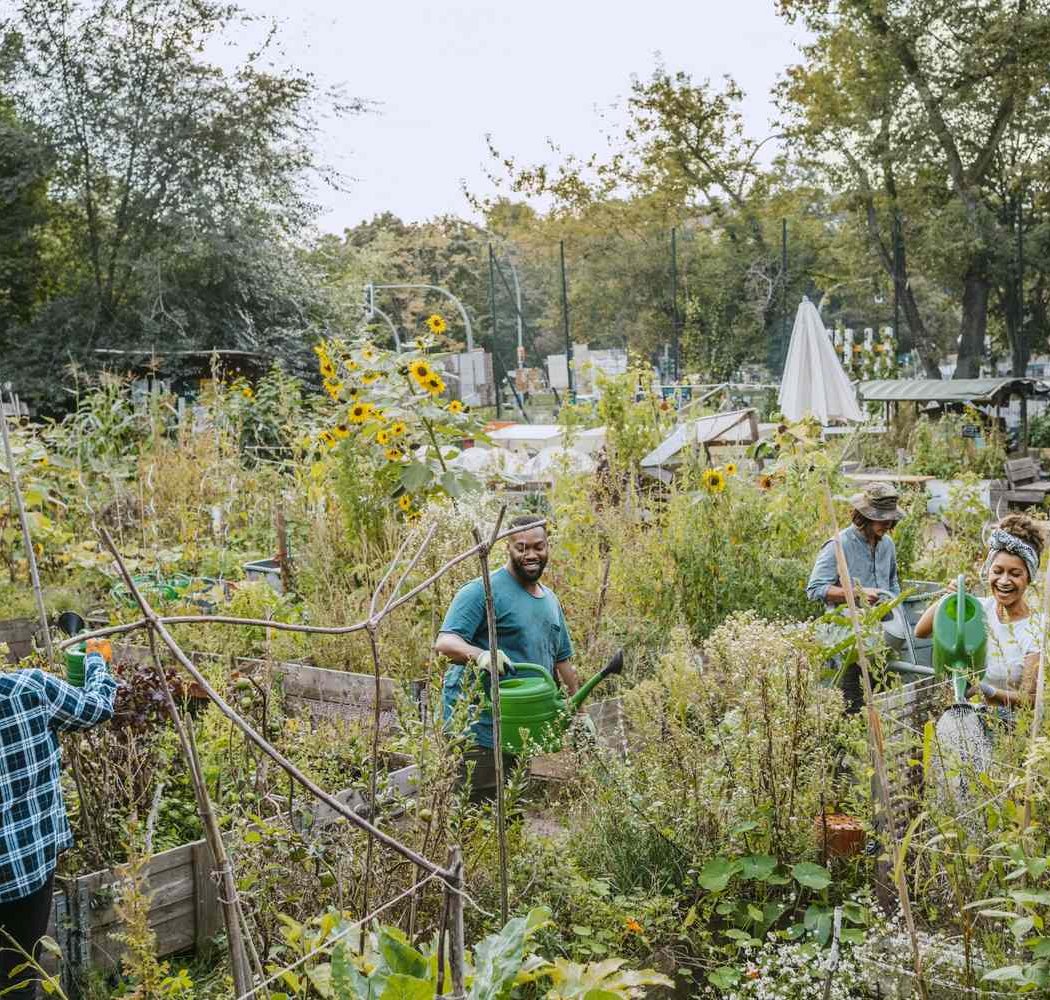 Volunteer Orientation at the Growing Center 3