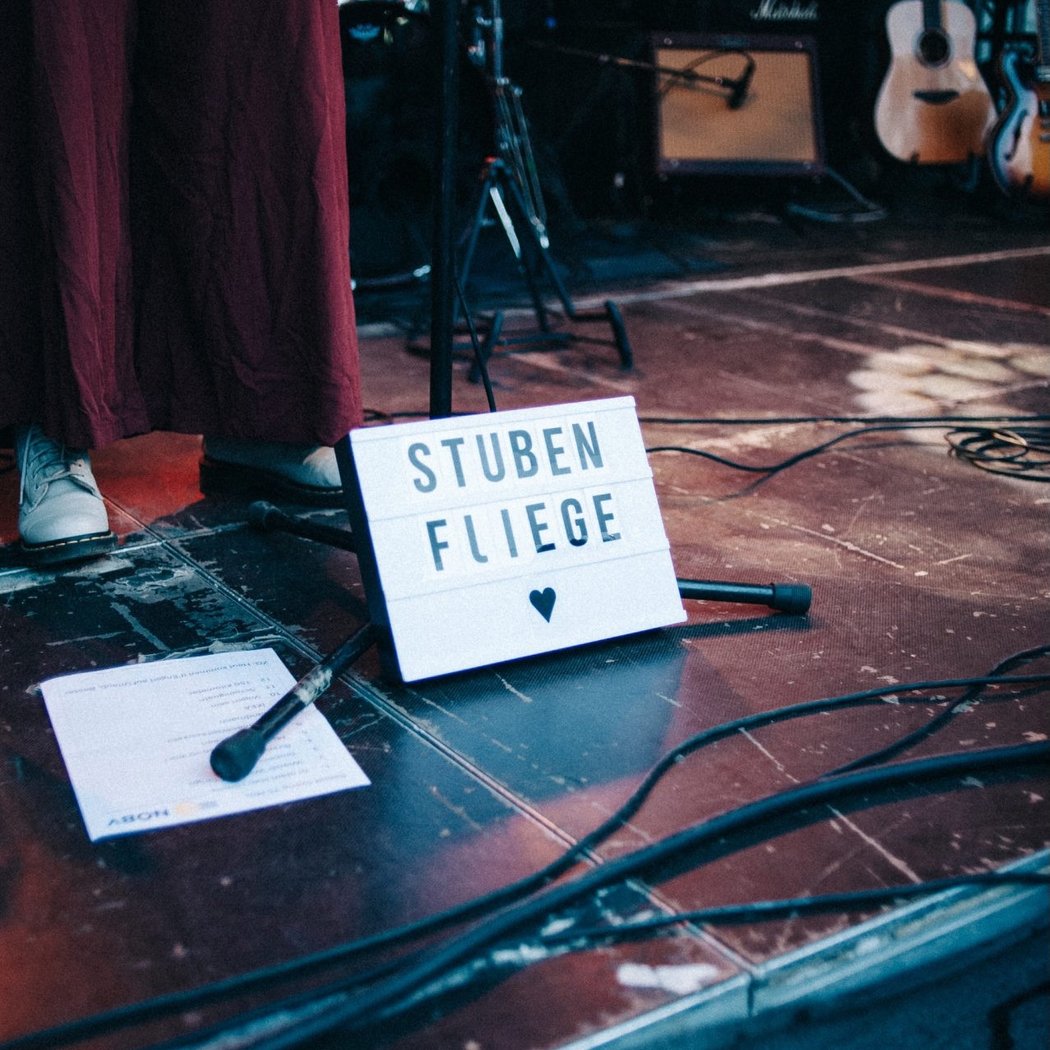 Stubenfliege performance 1