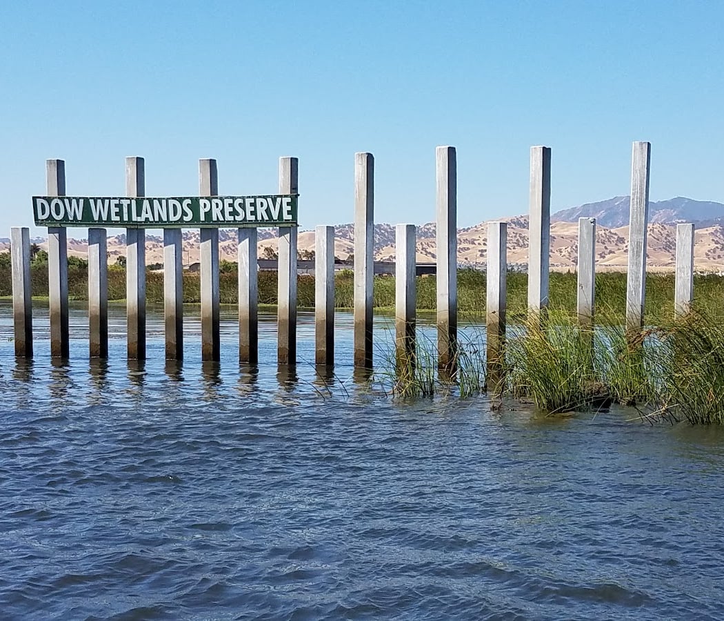 Corteva Wetlands Preserve 2