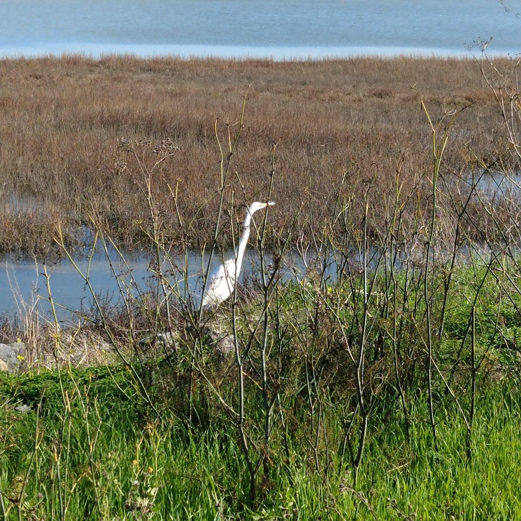 Levee Clean-Up Day 2025 2