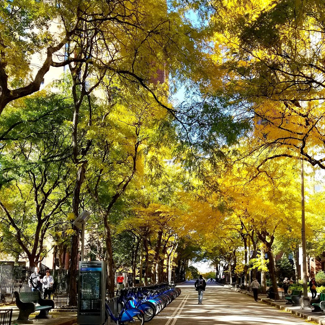 Ruppert Park 1