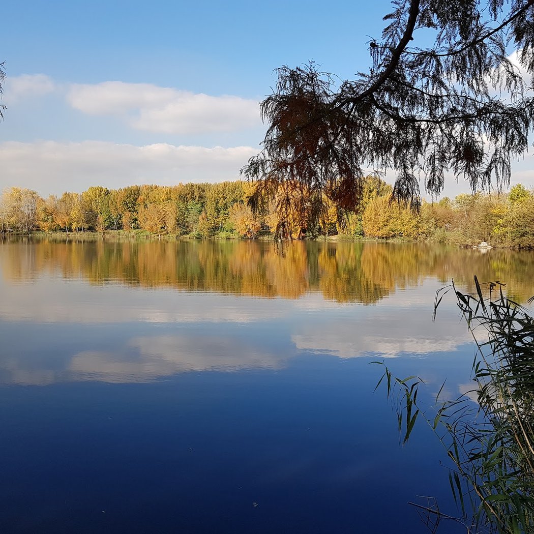 Villages sportifs et culturels d’été 2