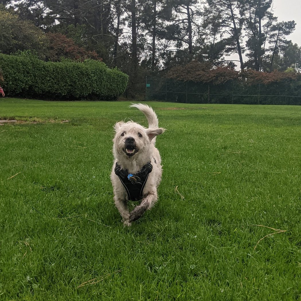 Tassajara Park 3