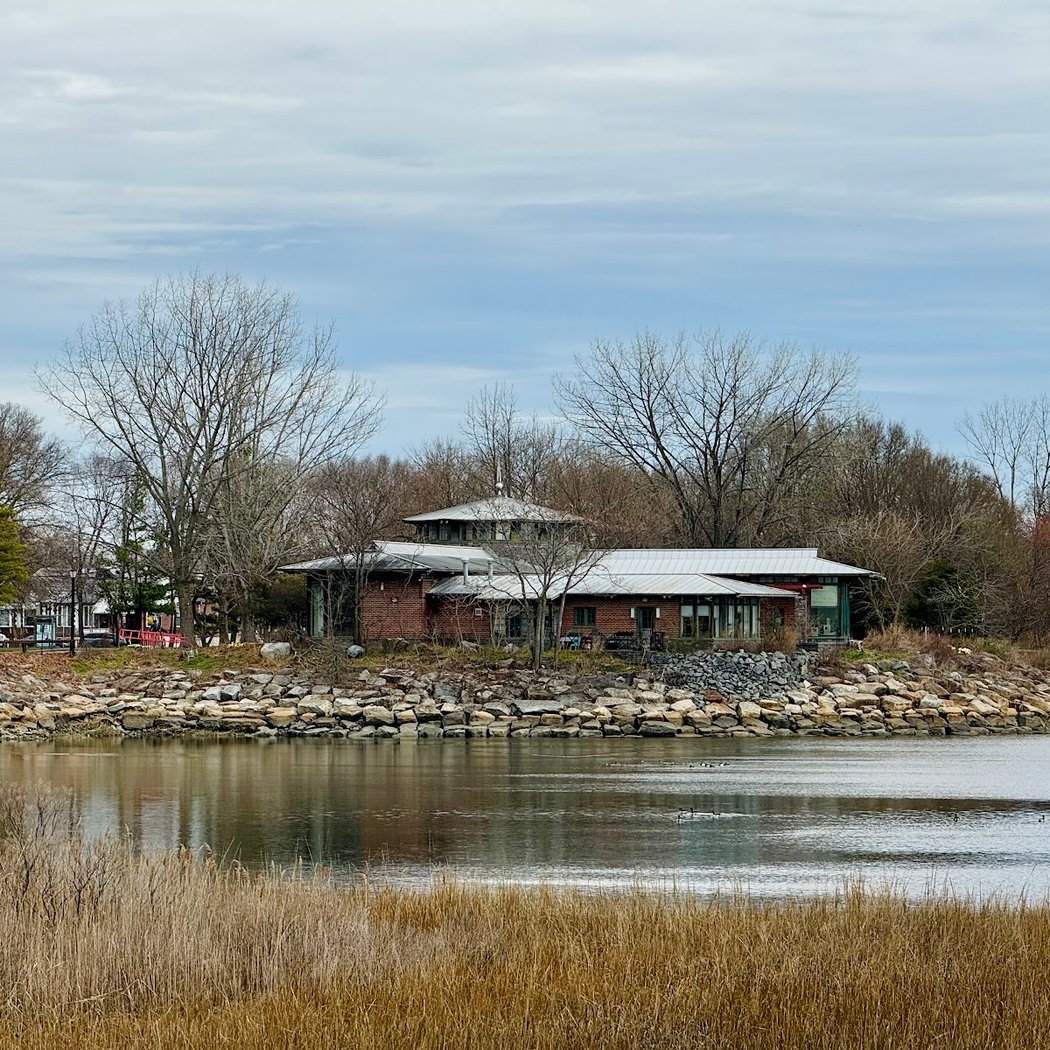 Celebrate the Salt Marsh Nature Center 1
