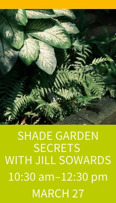 Shade Garden Secrets with Jill Sowards 1