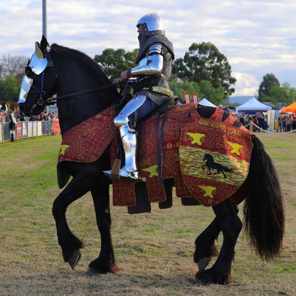 Winterfest Sydney Medieval Fair 1