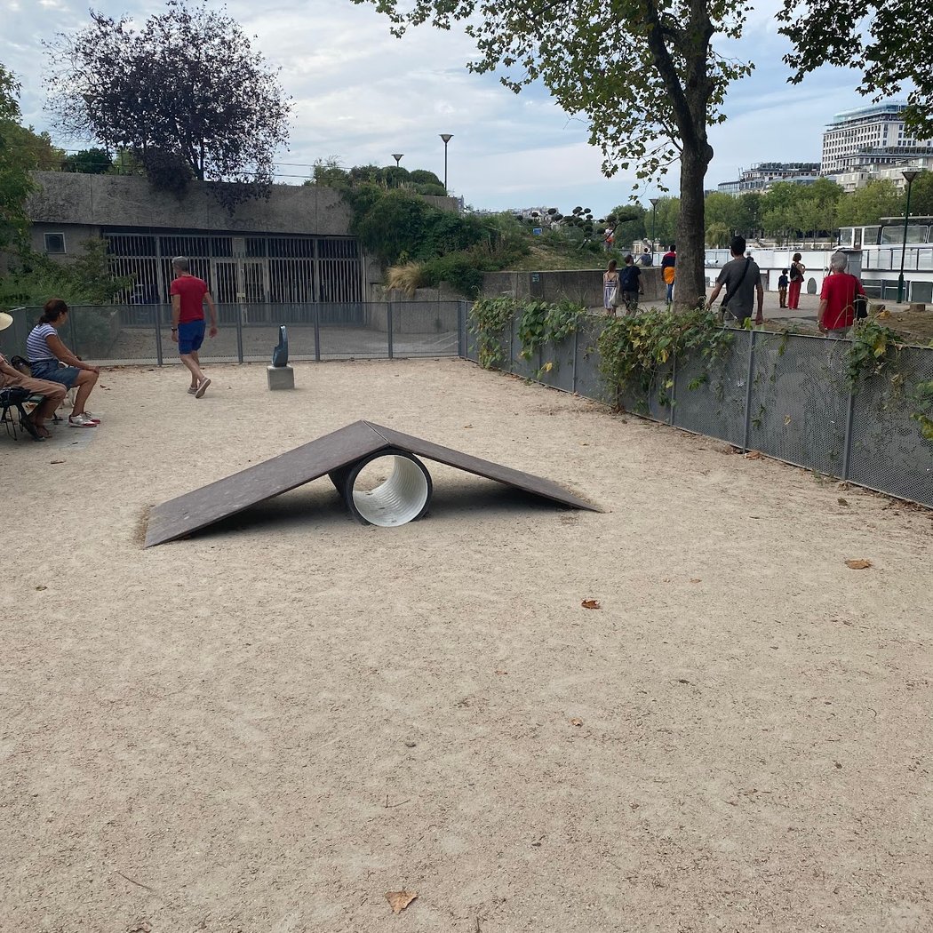 Aire de jeux pour chiens 2
