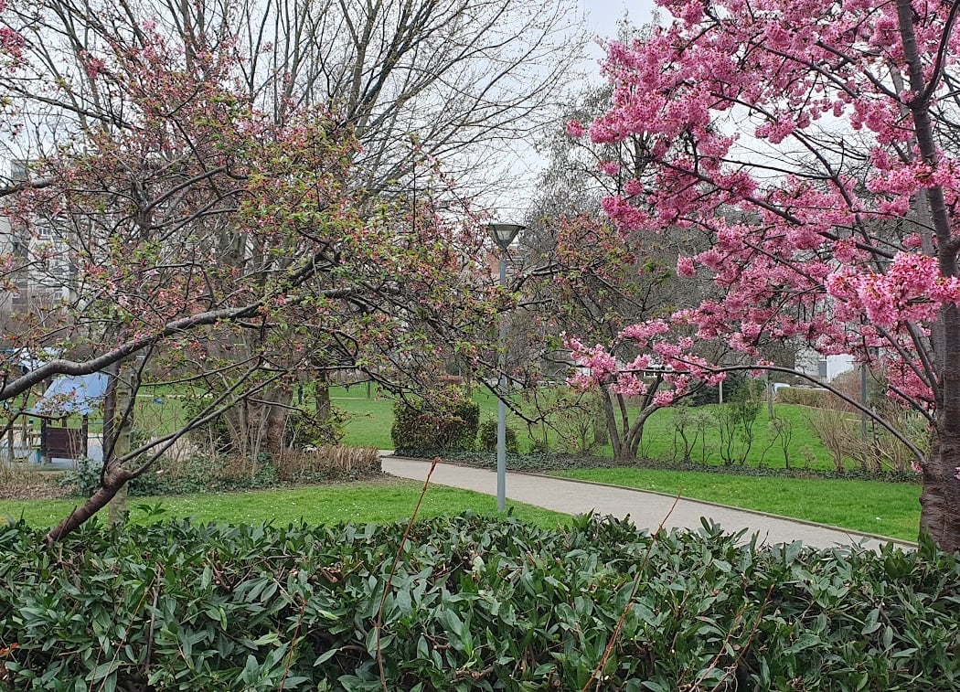 Parc des Hannetons 1