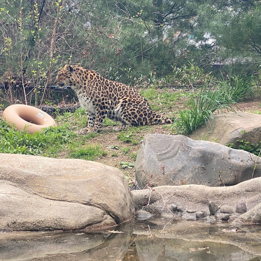 Staten Island Zoo 3