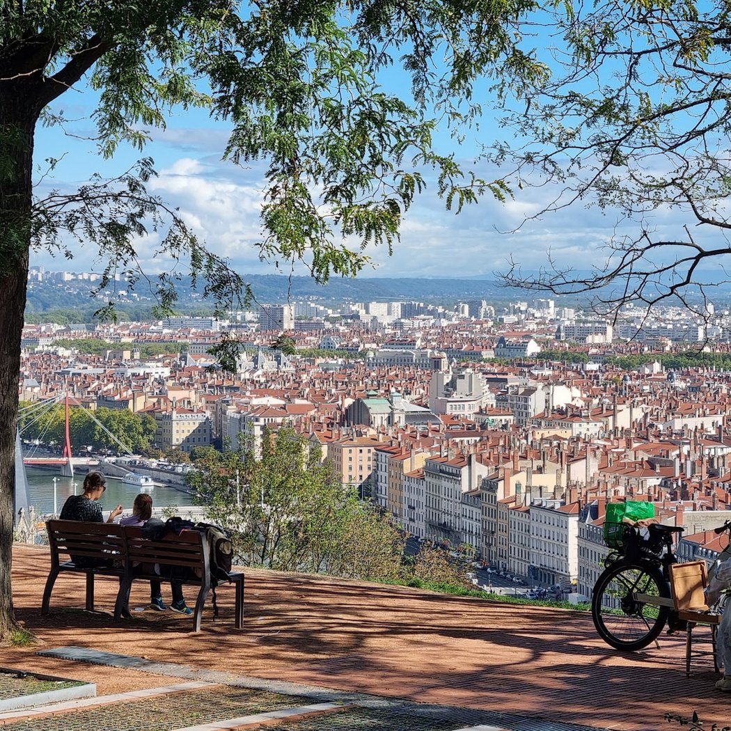 Jardin des Curiosités 1