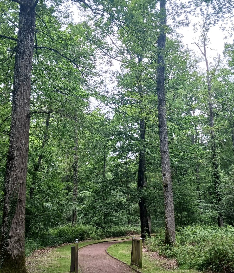 Sentier de la Salamandre 2