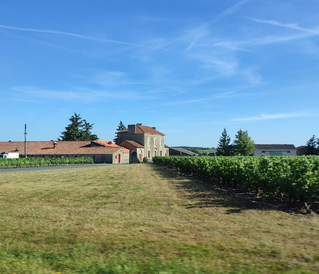 SCEA la Ferté - Viticulteur 2