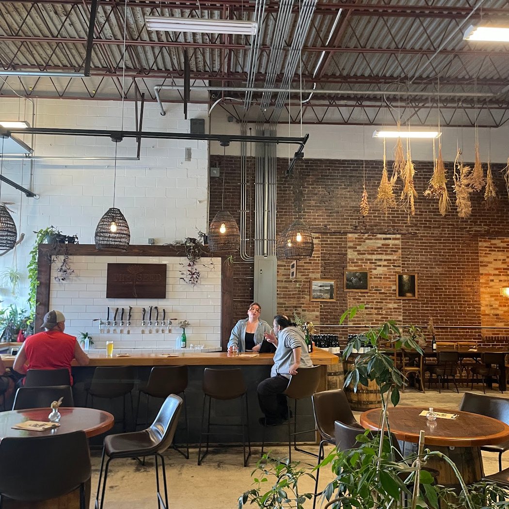 The Seed: A Living Beer Project 3
