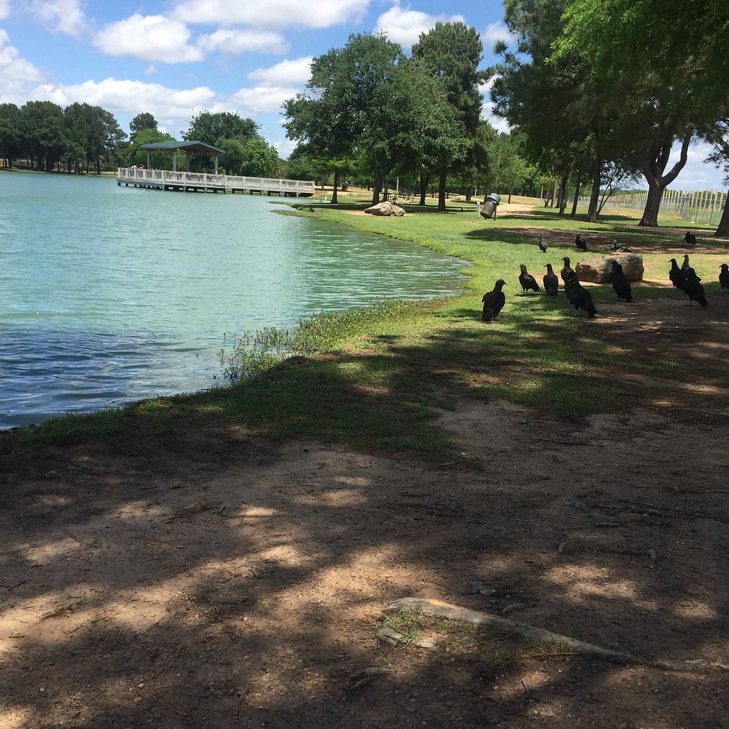 Mary Jo Peckham Park 1