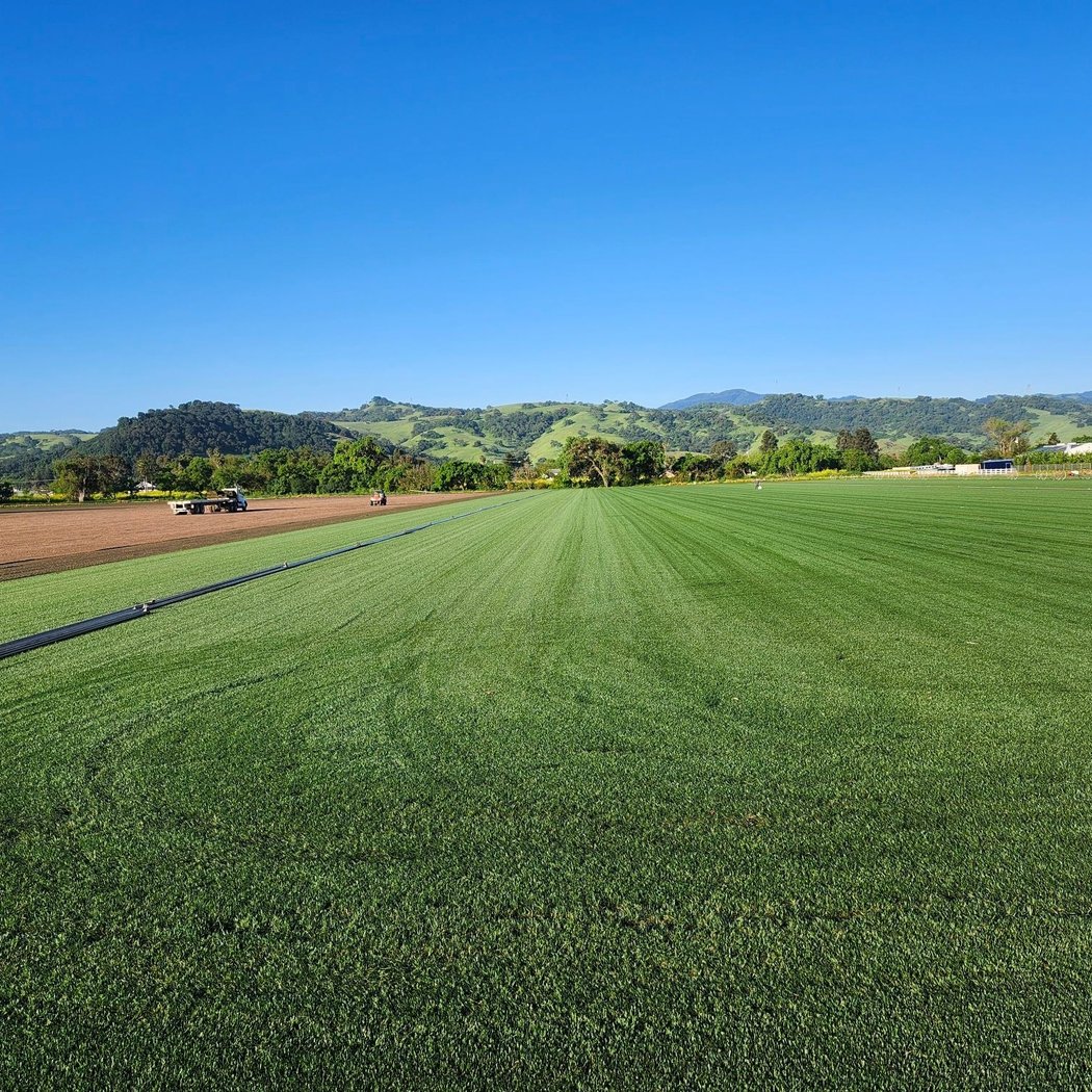 Grass Farm 1