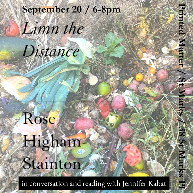 Limn the Distance Book Launch 1