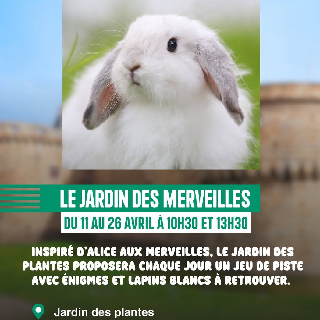 Le Jardin des Merveilles 1