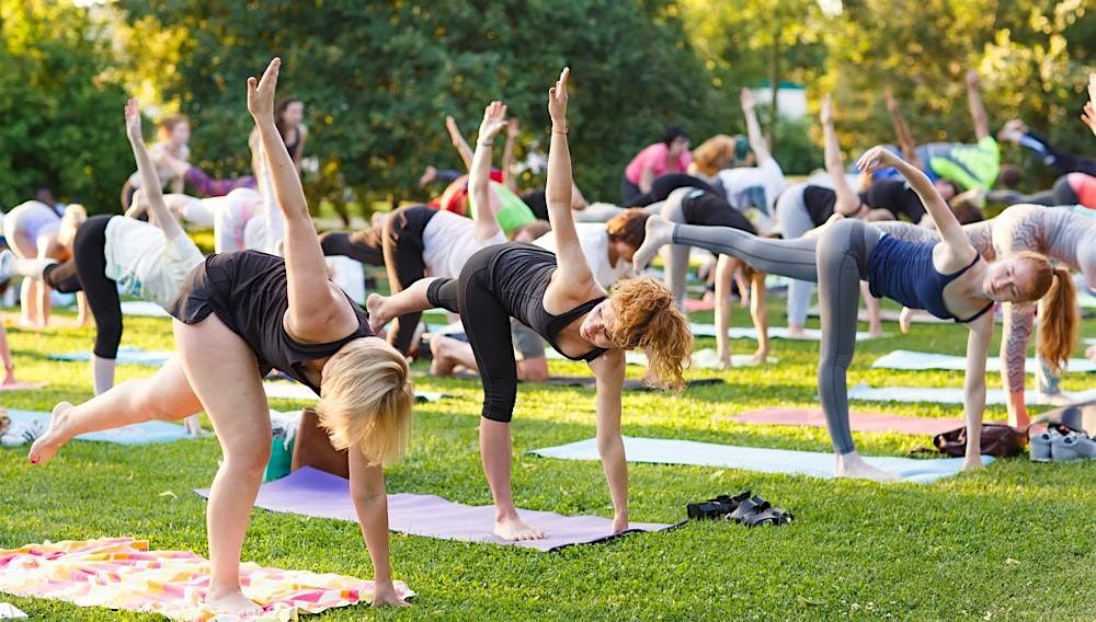 Beginner Yoga at Forest Park 1