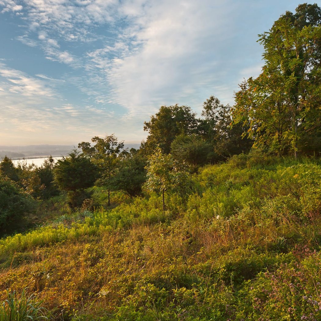 High Banks Preserve 1