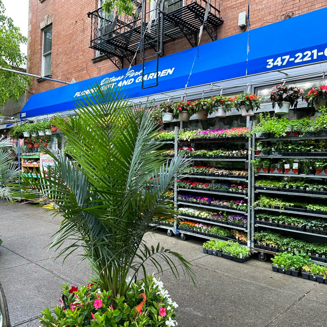 Ditmas park florist gift and garden llc. 3