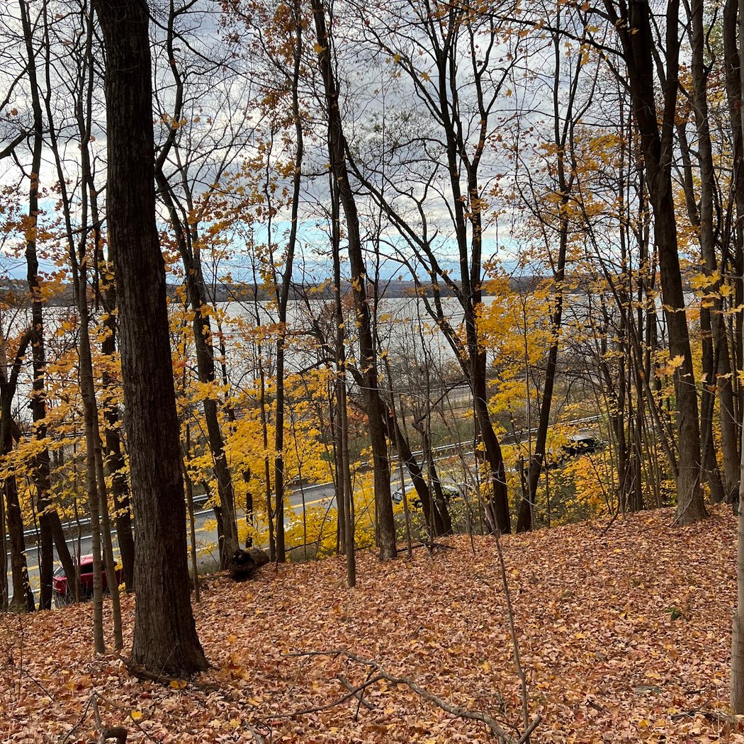 Wilkinson Memorial Trailhead 2