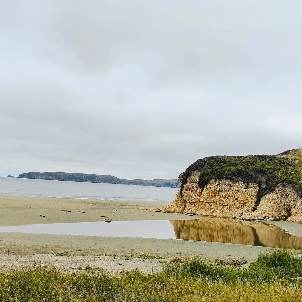 Ranger Program: Northern Elephant Seals 2