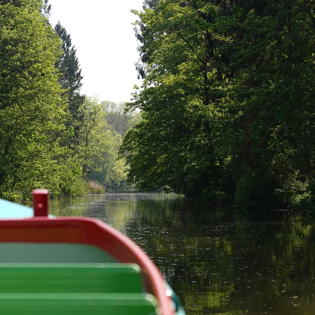 Discover the Amsterdamse Bos from the Water with the Fluistervink