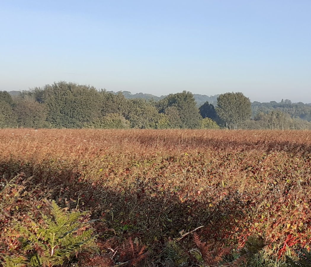 Treillières 4