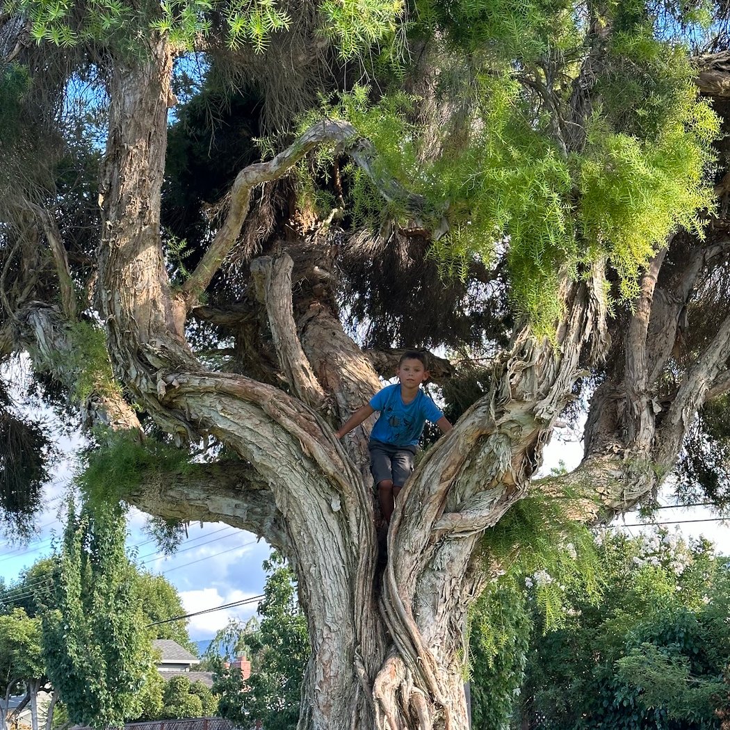 Live Oak Manor Park 1
