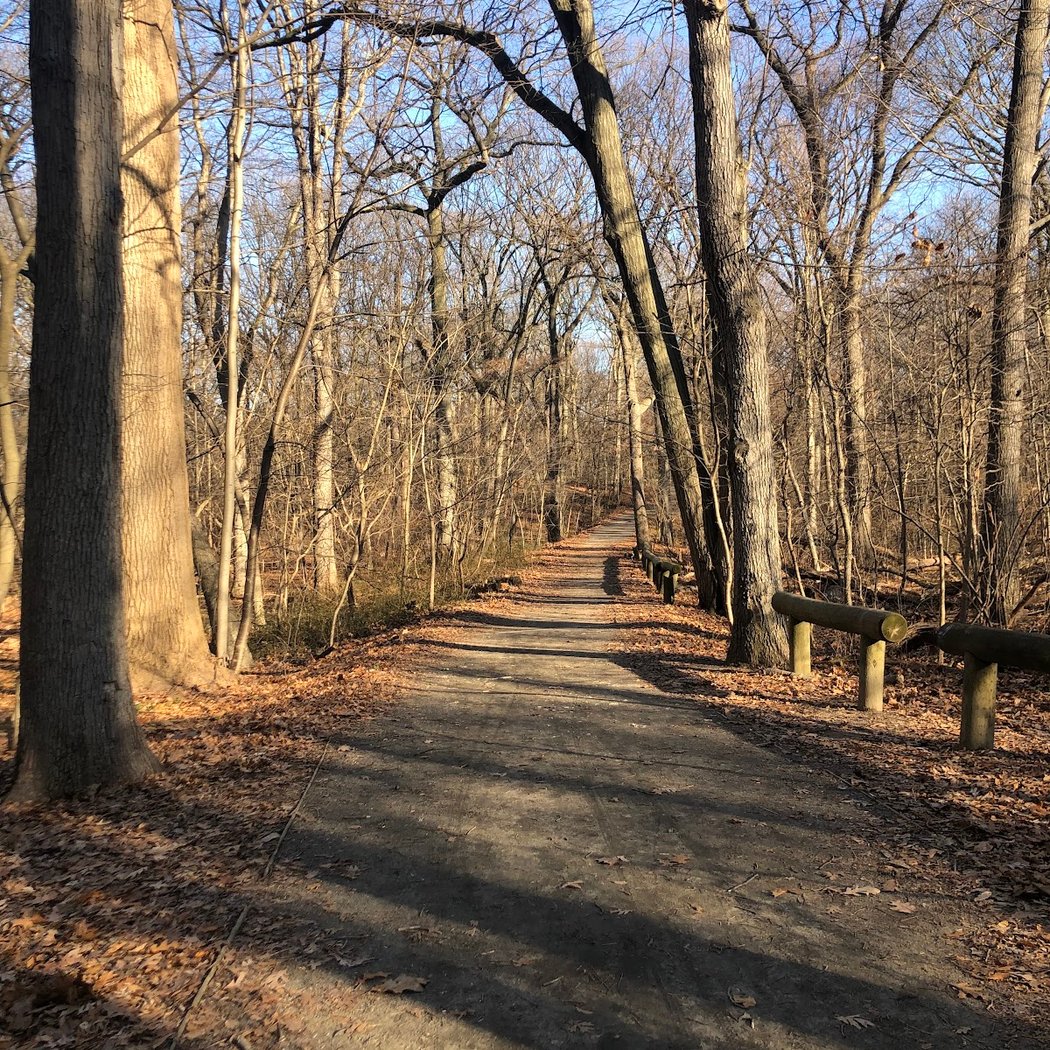 Forest Park Hiking Trails 4