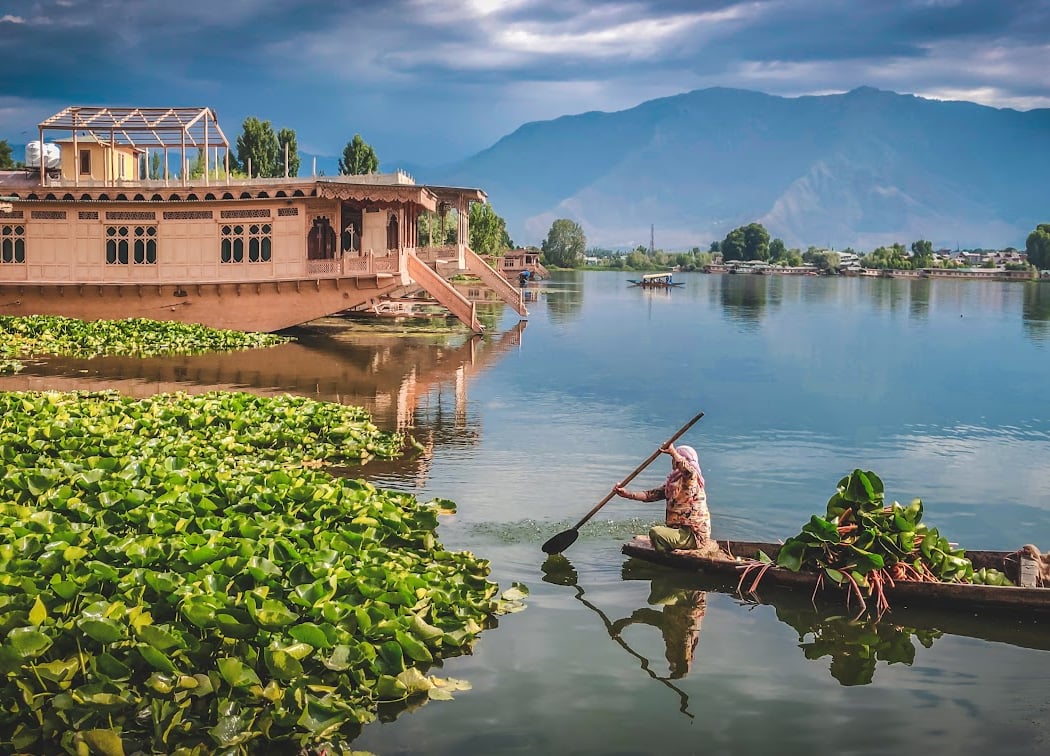 Srinagar 1