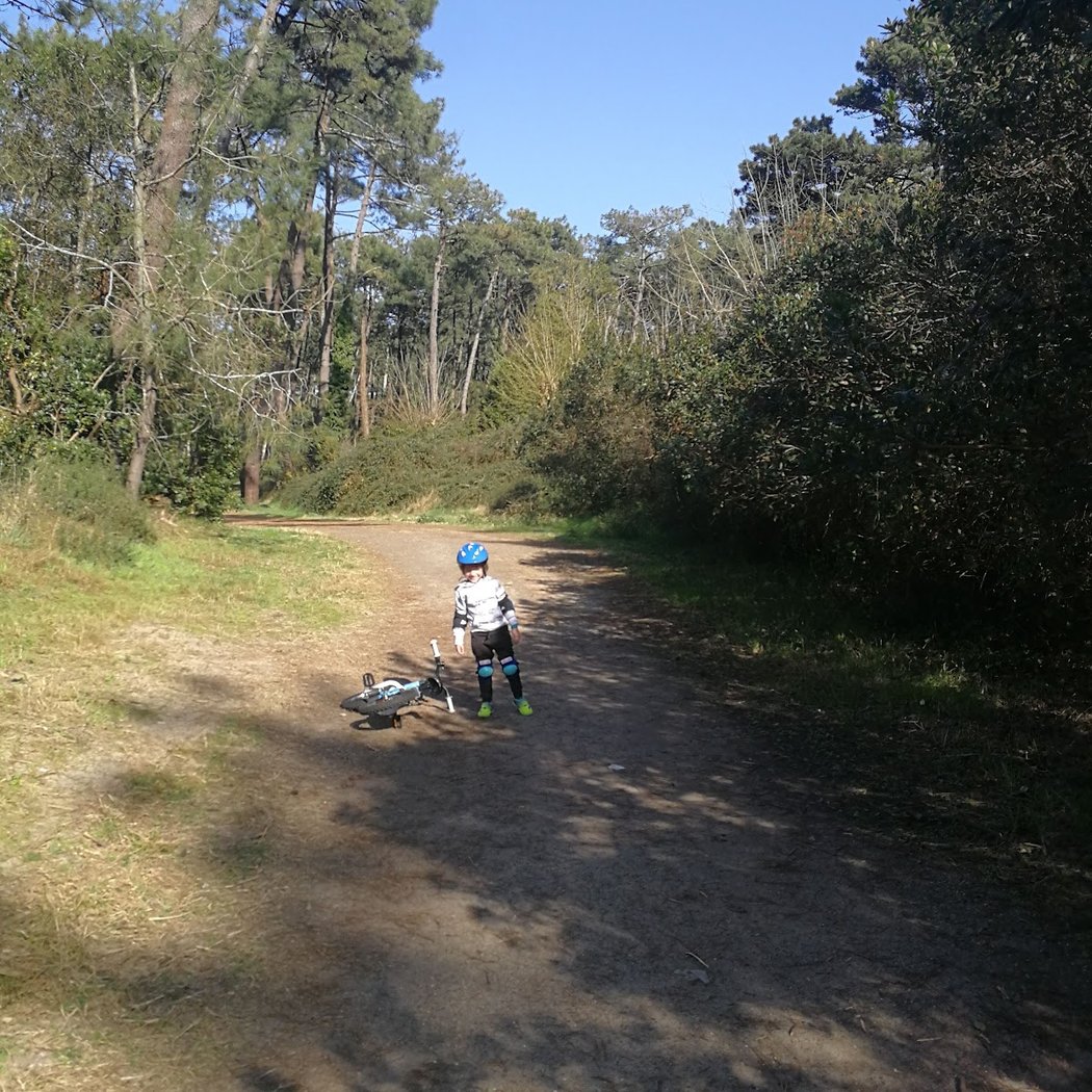 Health walk in the Pignada forest 3
